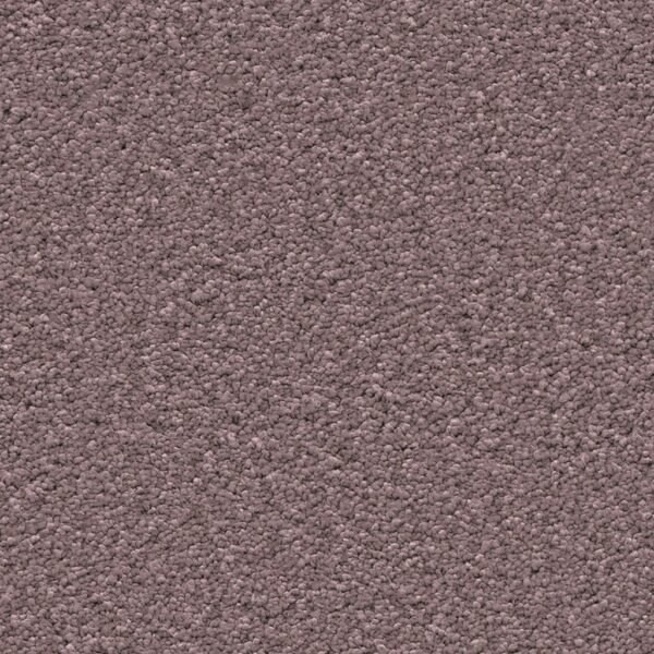 Newport lila 0560 | 400 cm - Tapijt | Lapy