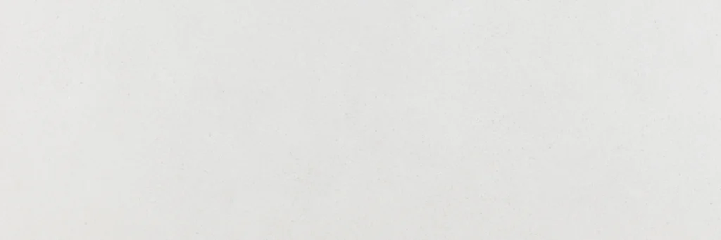 Argenta Hardy White 40X120 Mat
