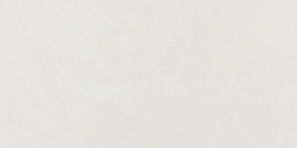 Argenta Hardy White 30X60 Mat