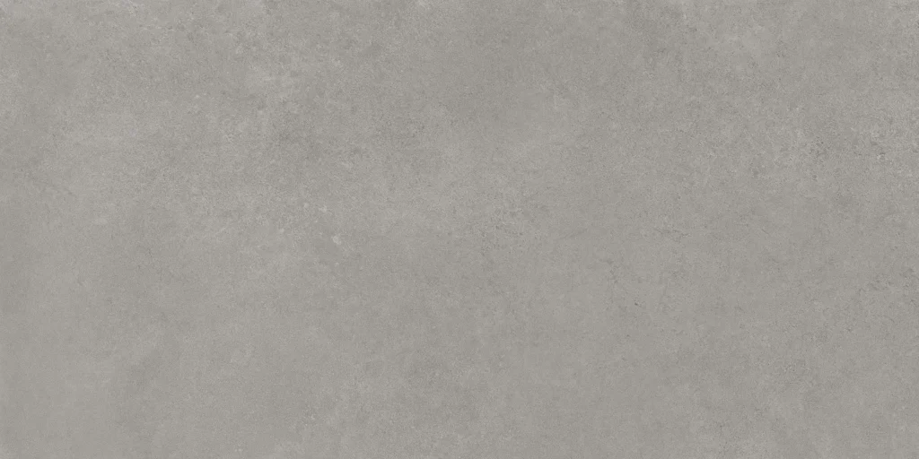 Argenta Tanum Ceniza 30X60 Mat
