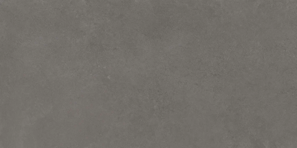 Argenta Tanum Plomo 30X60 Mat