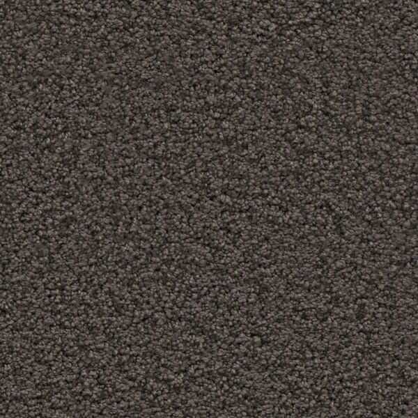 Newberry antraciet 0205 | 400 cm - Tapijt | Lapy