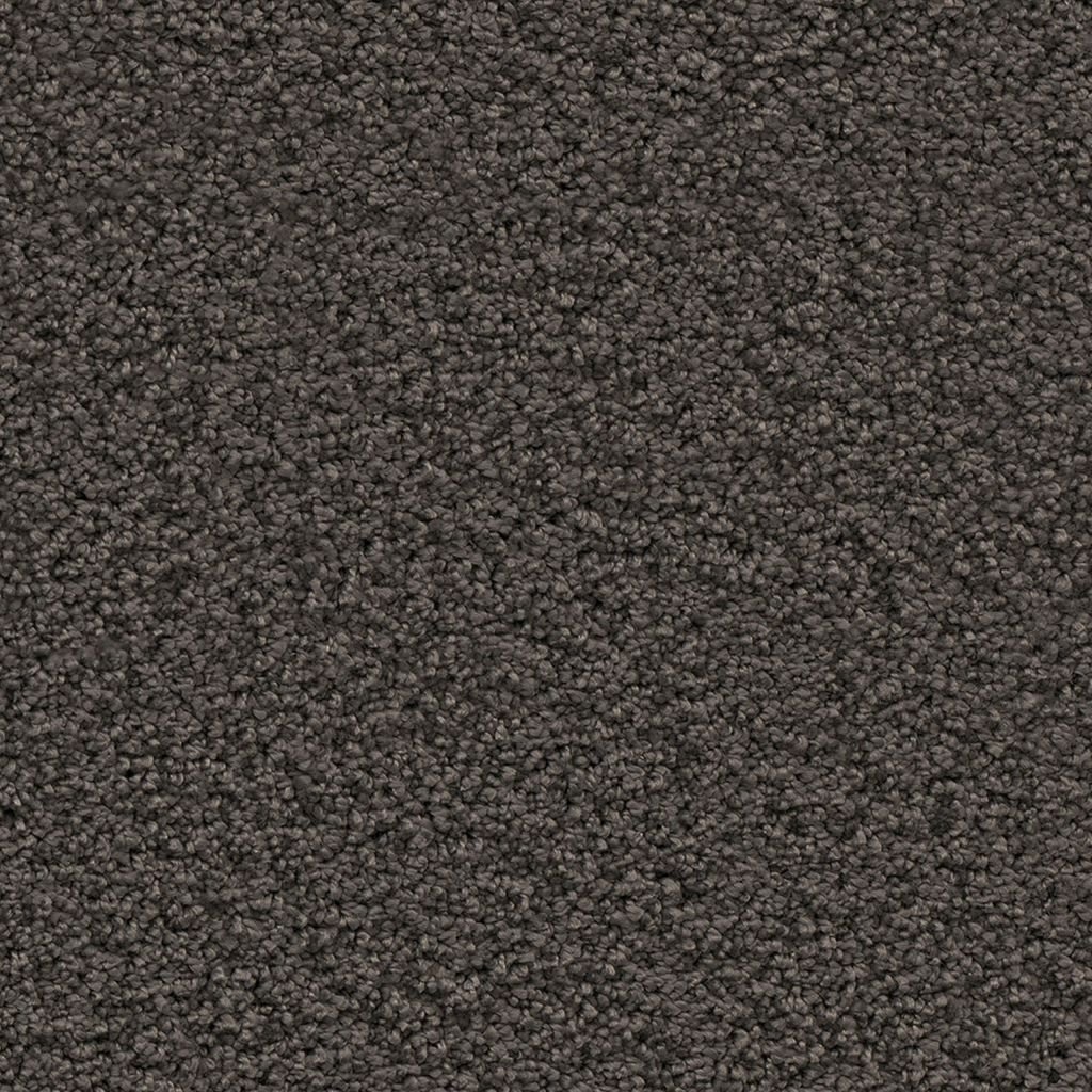 Newberry antraciet 0205 | 400 cm