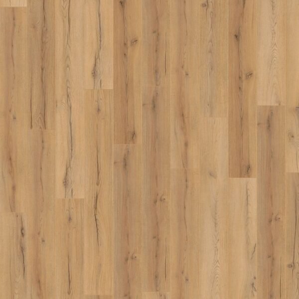 Century Oak beige D4176 WR - Laminaat | Lapy