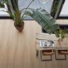 Fulham dryback natural oak - PVC Vloeren | Lapy