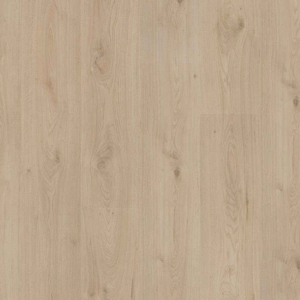 Surprise millenium oak SP885