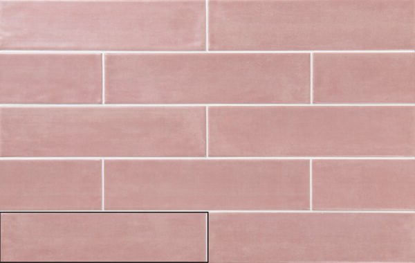 Acquarella Rose