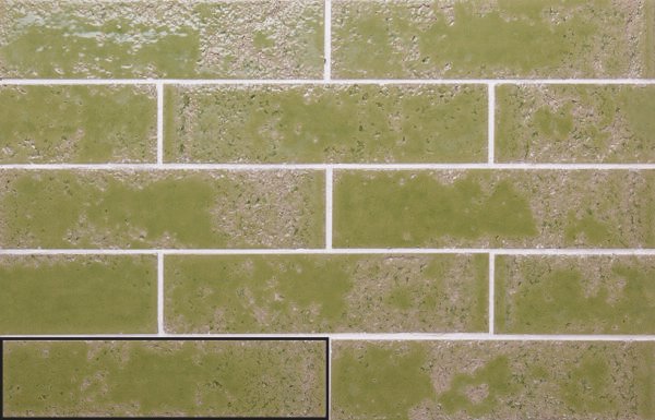 Pukka Moss Green - Wandtegels Natuursteenlook | Lapy