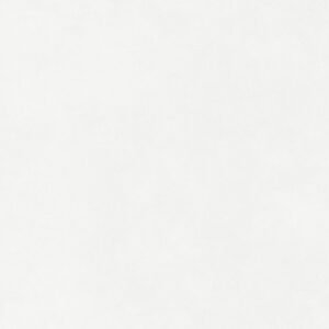 Prissmacer Etna Blanco 60X120X2 - Buitentegels Betonlook | Lapy