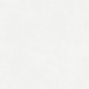 Prissmacer Etna Blanco 60X60X2 - Buitentegels Betonlook | Lapy