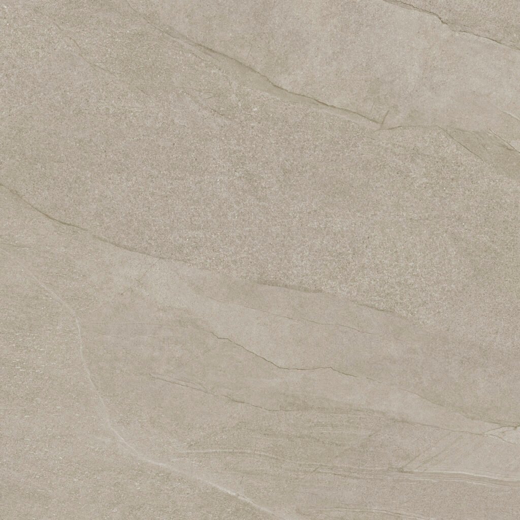 Halley Light 100x100