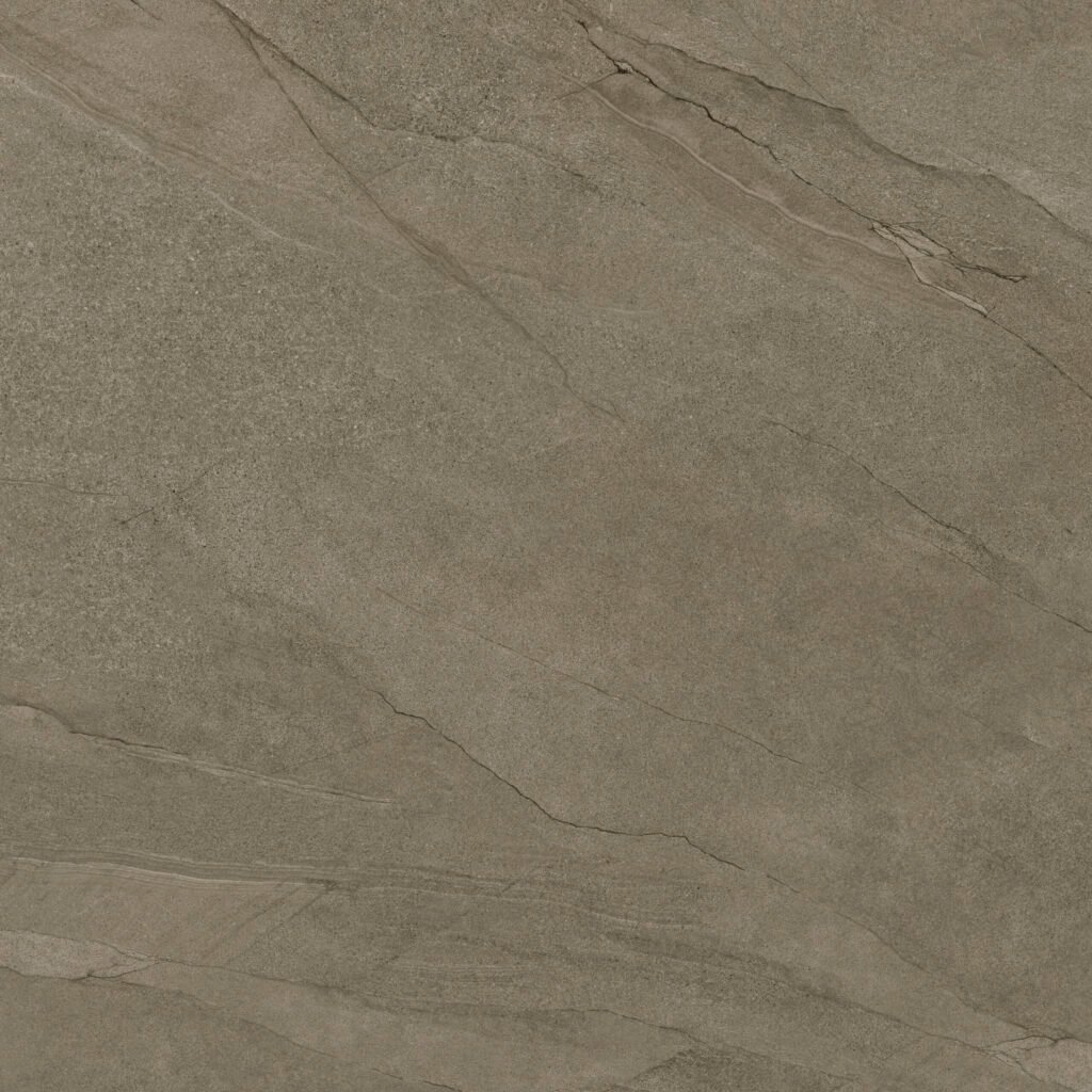 Halley Mud 100x100