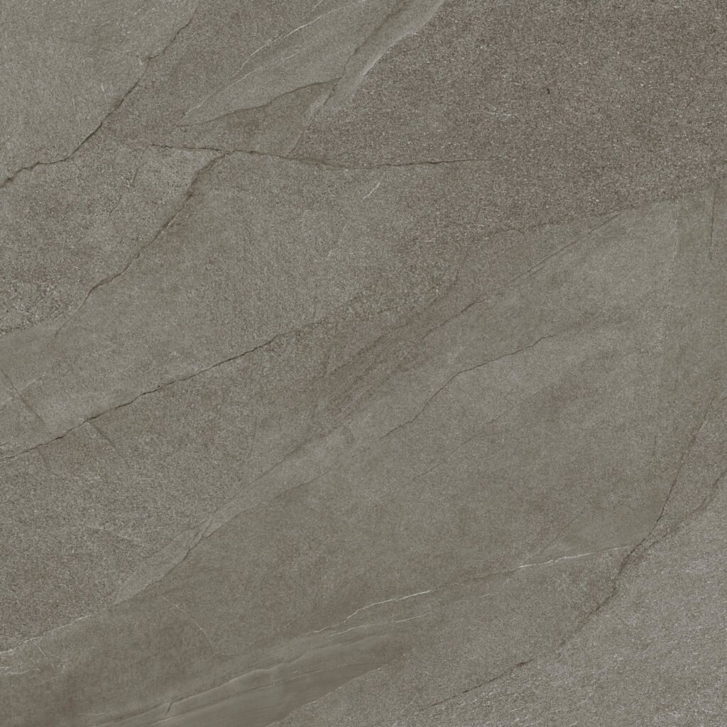Halley Silver 100x100