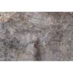 Martins Marble dark 60x120 - Vloertegels | Lapy