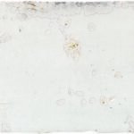 Grunge Iron - Wandtegels Patroon | Lapy