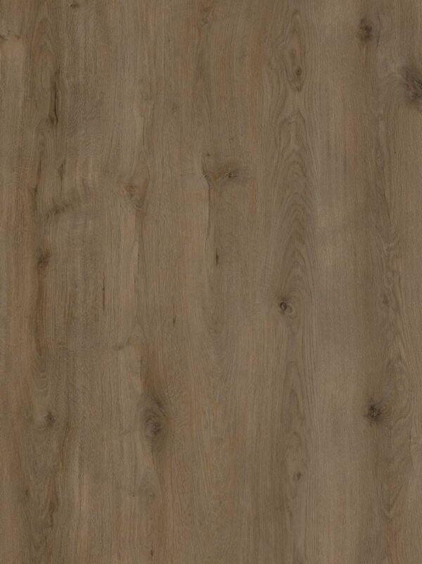 Seine kingsize plak - Visgraat | Lapy