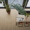 Parramatta dryback natural oak - PVC Vloeren | Lapy