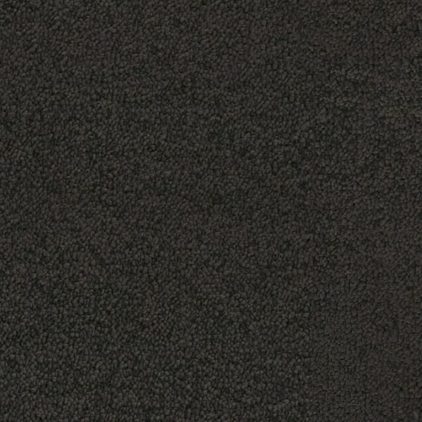 Louisville antraciet 0205 | 400 cm - Tapijt | Lapy