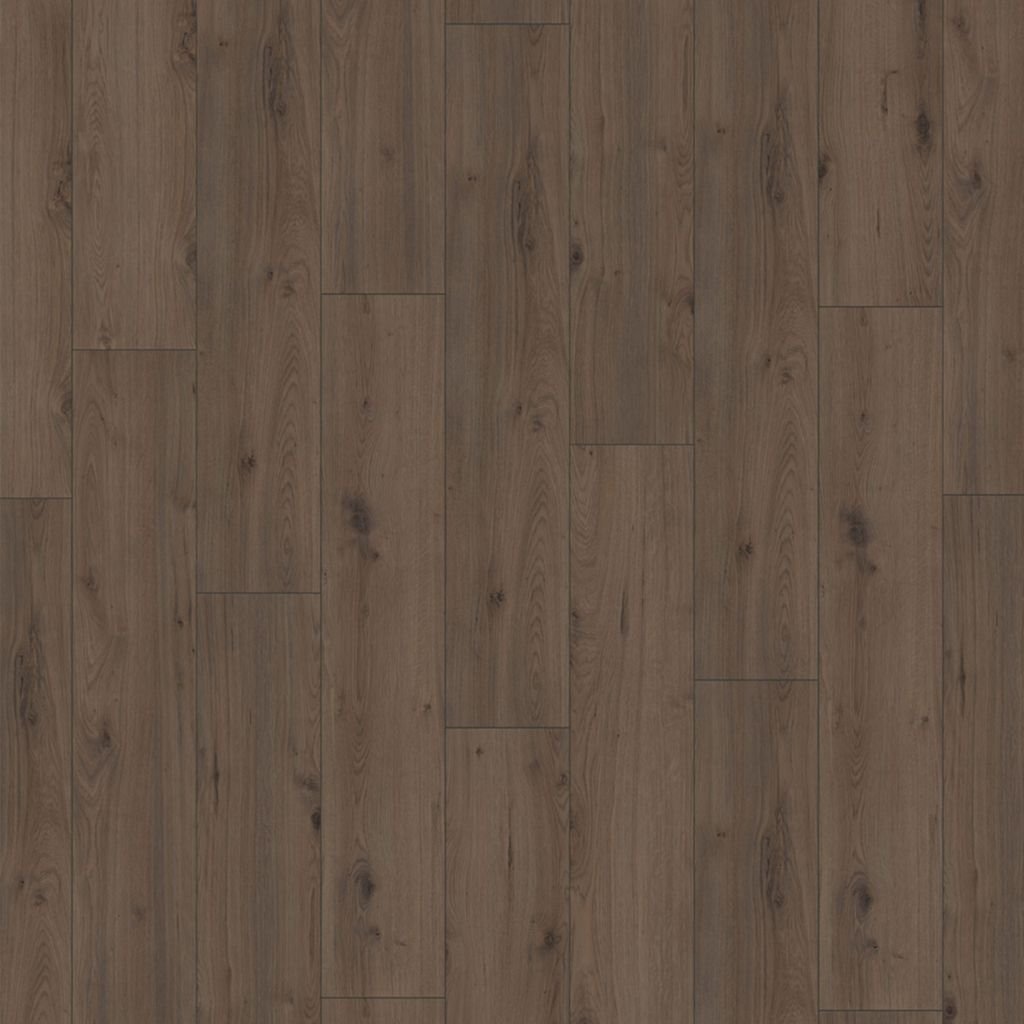 Surprise millenium oak SP903