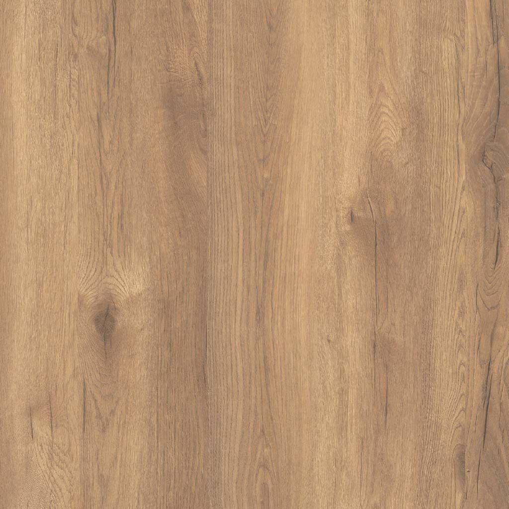 Summer Oak D3901