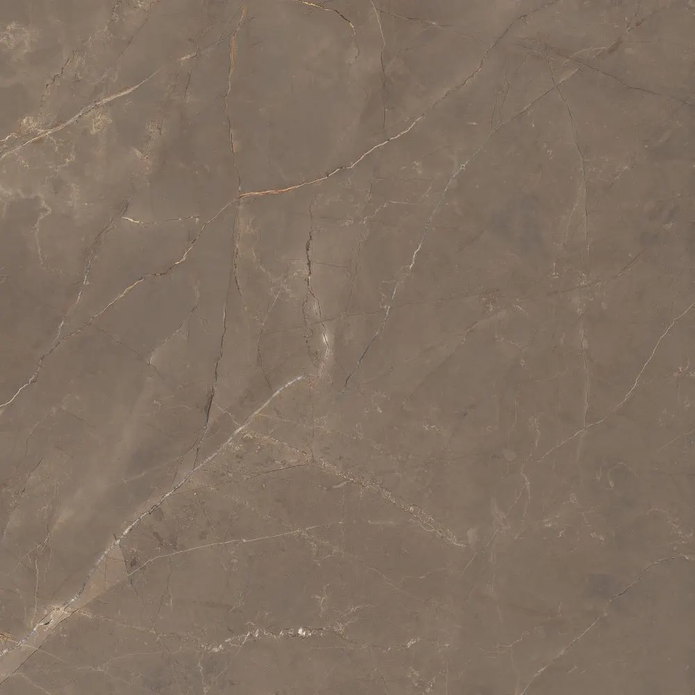Energieker Amani Oud Lev. 120X120 Glans