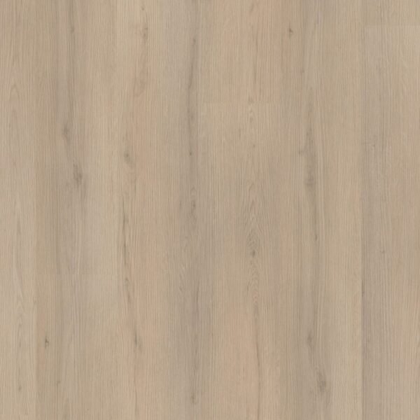 Barnet click beige - PVC Vloeren | Lapy