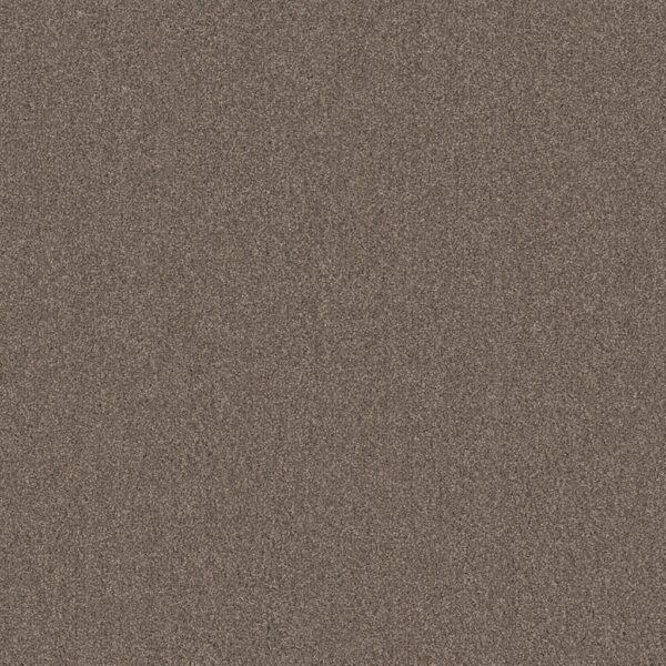 Miami taupe 0535 | 400cm - Tapijt | Lapy