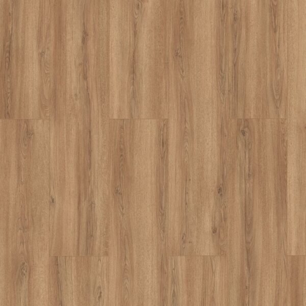 Laminaat XL Oak beigebraun WR - Laminaat | Lapy