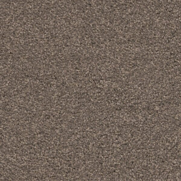 Miami taupe 0535 | 400cm - Tapijt | Lapy