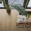 Sutton dryback warm natural - PVC Vloeren | Lapy