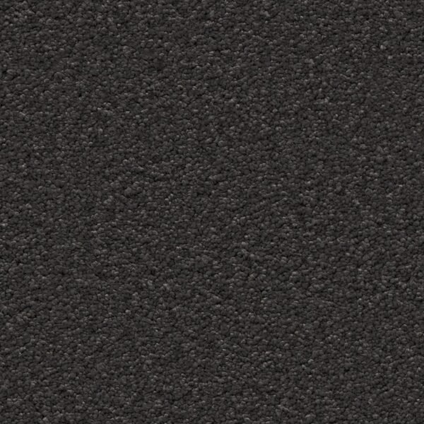 Newport zwart 0200 | 400 cm - Tapijt | Lapy