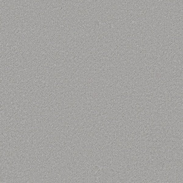 Lodi lichtgrijs 0165 | 400cm - Tapijt | Lapy