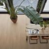 Barnet dryback natural oak - PVC Vloeren | Lapy