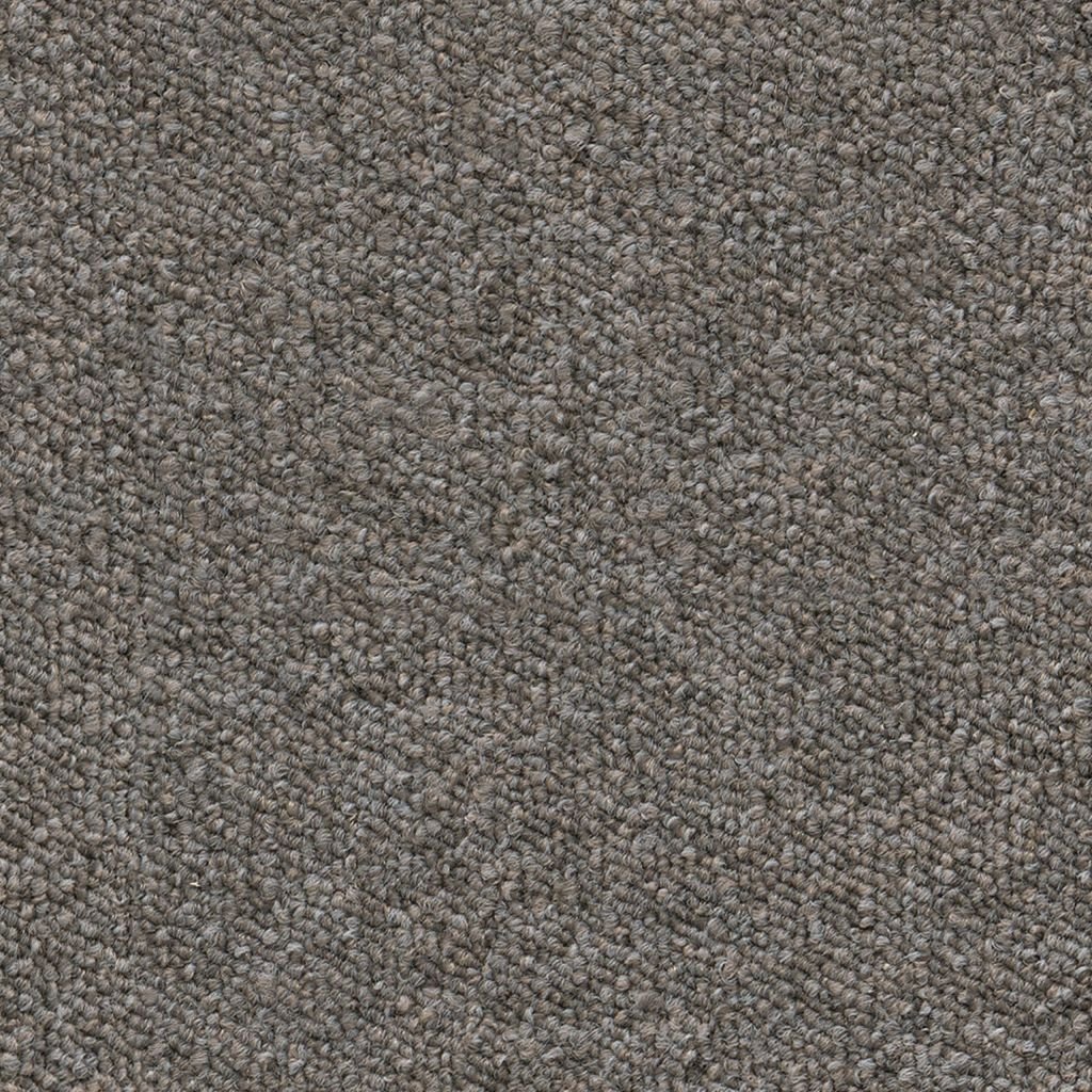 Scottsdale greige 0195 | 400cm