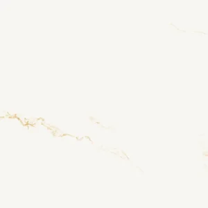 AB Finezza Oro Pulido 60X120 Glans - Vloertegels Marmerlook | Lapy