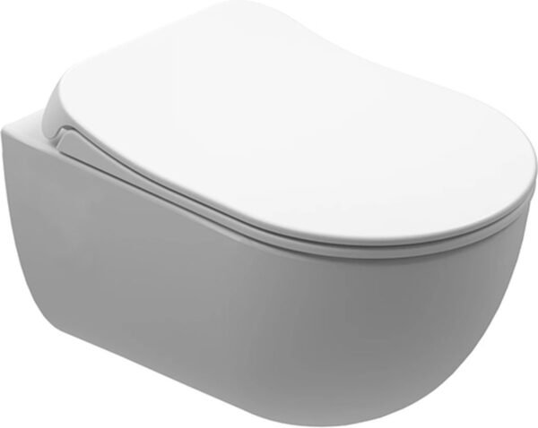 WC Zero zonder kraan WG met Bidet incl softclose zitting - Wandclosets | Lapy