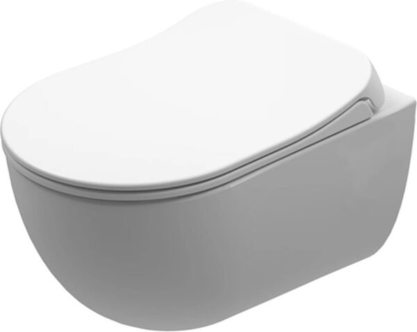 WC Zero zonder kraan WG met Bidet incl softclose zitting - Wandclosets | Lapy