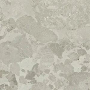 Energieker Petraviva Greige Nat. 60X60 Mat - Vloertegels Betonlook | Lapy