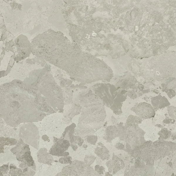 Energieker Petraviva Greige Nat. 60X60 Mat
