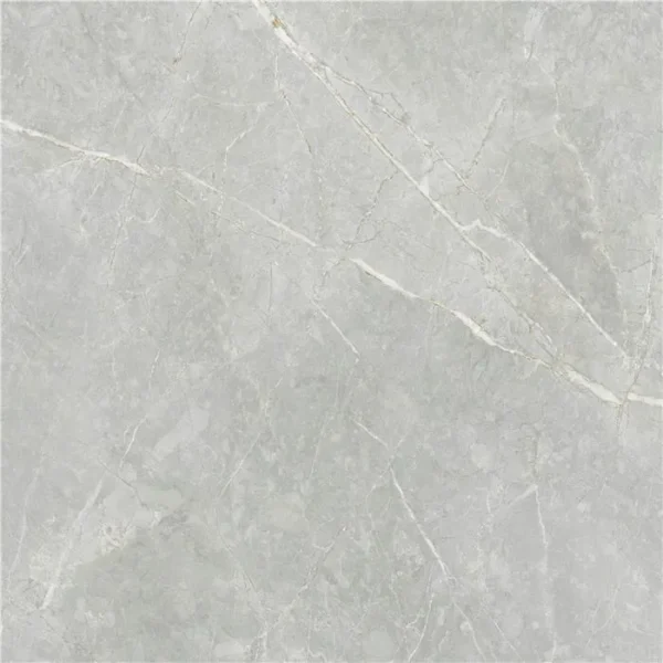 Stn Syrah Light 60x60 Mat