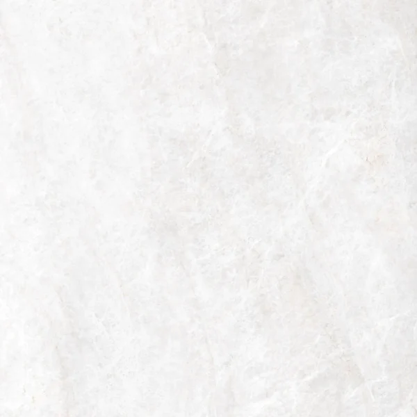 Energieker Taj Mahal Shell Lev. 60X60 Glans