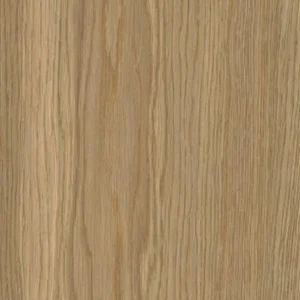 Energieker Woodwise Brandy 20X120 Mat - Vloertegels Houtlook | Lapy