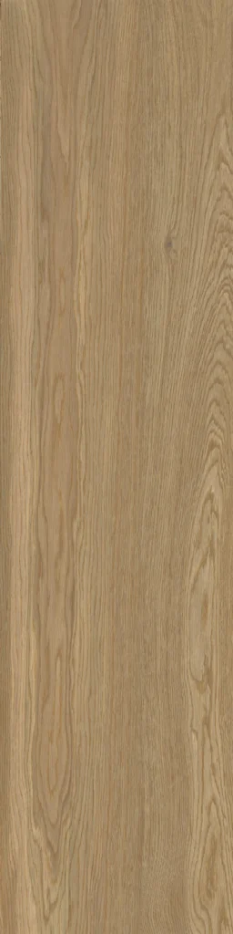Energieker Woodwise Brandy 30X120 Mat