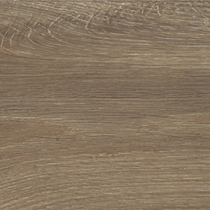 LIN Tortora 20x120