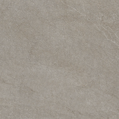 NEWSTONE Taupe 100x300