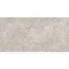 Baldocer Pierre Grey 30X60 Mat - Wandtegels | Lapy