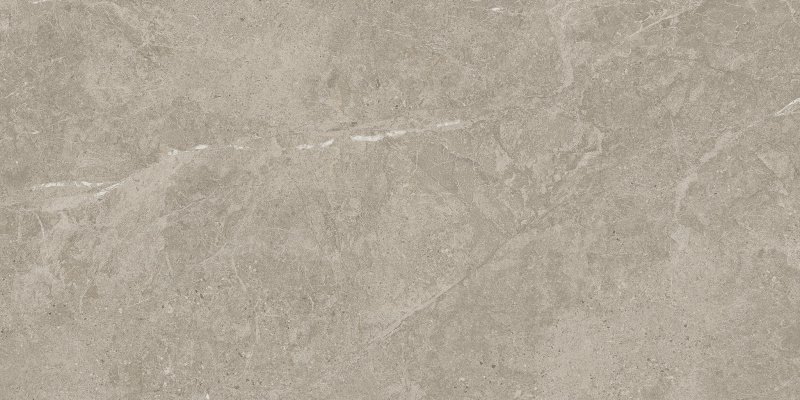 Atlas Concorde Solution Duolith Fossil 60X120 Mat