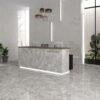 STN Ceramica Larocca Grey 60X120 Glans - Vloertegels | Lapy
