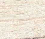 Energieker Padouk White 30X120 Mat - Vloertegels | Lapy