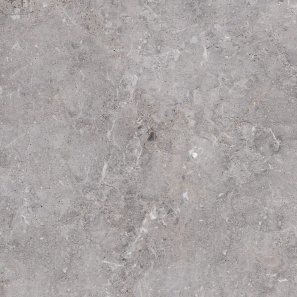 Golden Age Grey 60X60 Mat - Vloertegels | Lapy